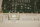SIEMENS-SIMATIC 6ES5308-3UB11 Interface Modul