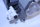 Ismatec ISM404B Schlauchpumpe