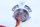 Electron Devices L-4906A Thyratron