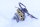 Speck Pumpen MY2-8000.0027