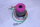 Harmonic Drive CHA-32A-30-H-C1024 Motor