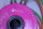 Harmonic Drive CHA-32A-30-H-C1024 Motor
