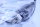 Hosco Pressure Switch 20076943  DDREVII