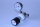 SPECTRON Gasdruckregler EE61 71705236