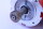 Nord Drivesystems Motor SK71L/4 TF mit Frequenzumrichter SK 205E-750-340-A