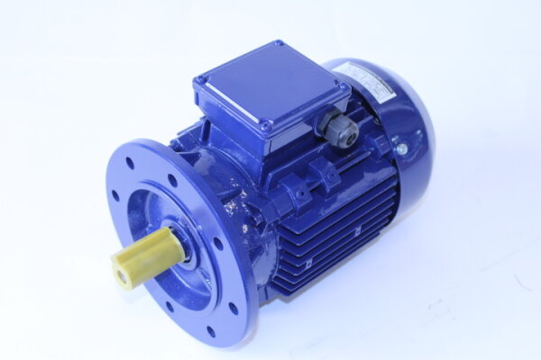 Ehrensperger Motor B5 0408 205005