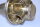 Riegler 737.702 Druckregler