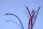 Multi Circuit Ringkerntrafo RT144-230//12