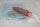 CONTRINEX  LRS-1180-304 Reflexionslichtschranke