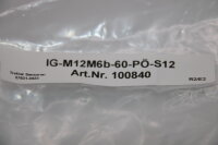 Trefzer Sensoren IG-M12M6b-60-PÖ-S12 (100840) Sensor