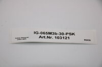 Trefzer Sensoren IG-065M3b-30-PSK (103121) Sensor